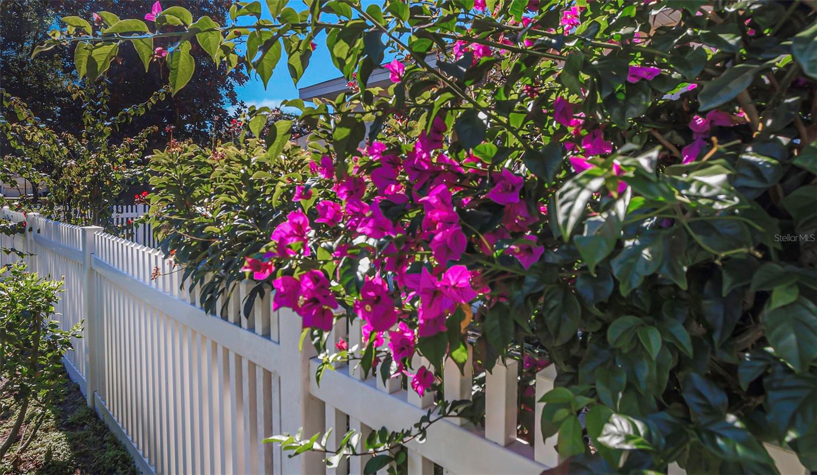 Image 60 of 100 For 1518 Fishing Lake Drive