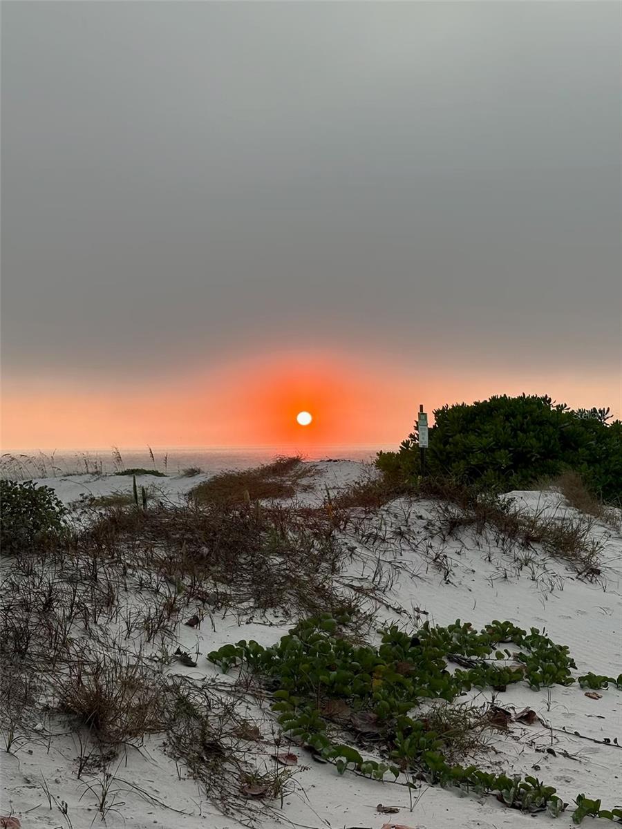 Image 33 of 41 For 880 Mandalay Avenue S702