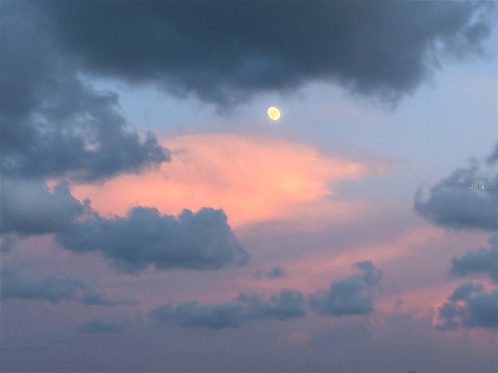 Image 35 of 41 For 880 Mandalay Avenue S702