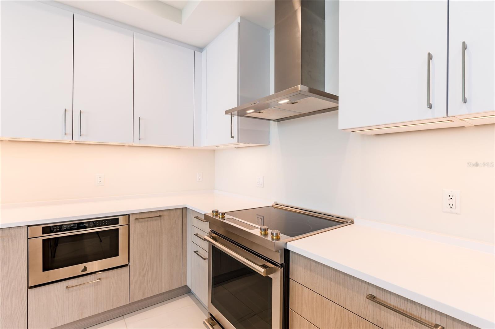 Listing photo id 6 for 275 1st Avenue South  2208