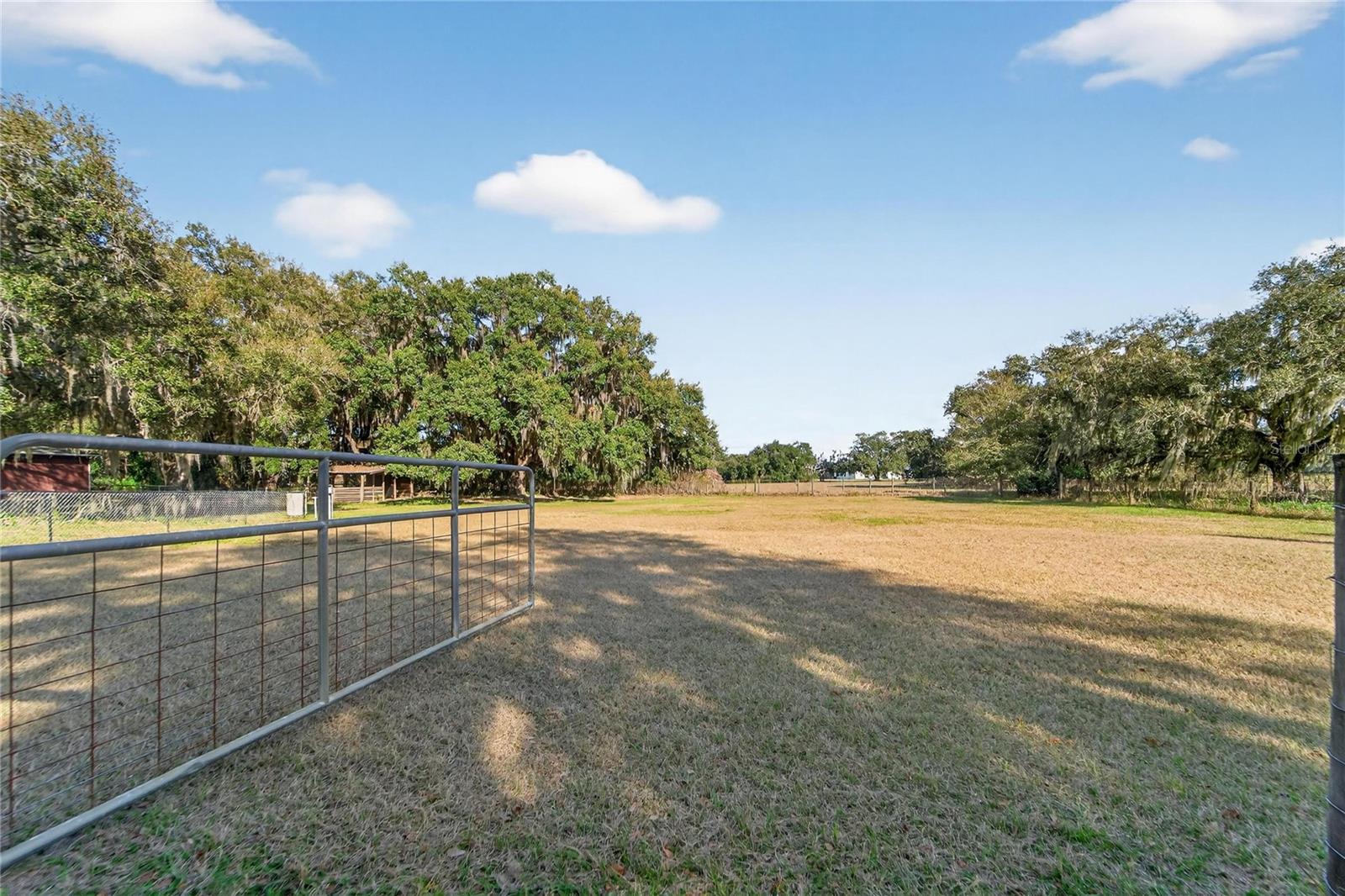 Image 68 of 89 For 725 Giant Oak Road