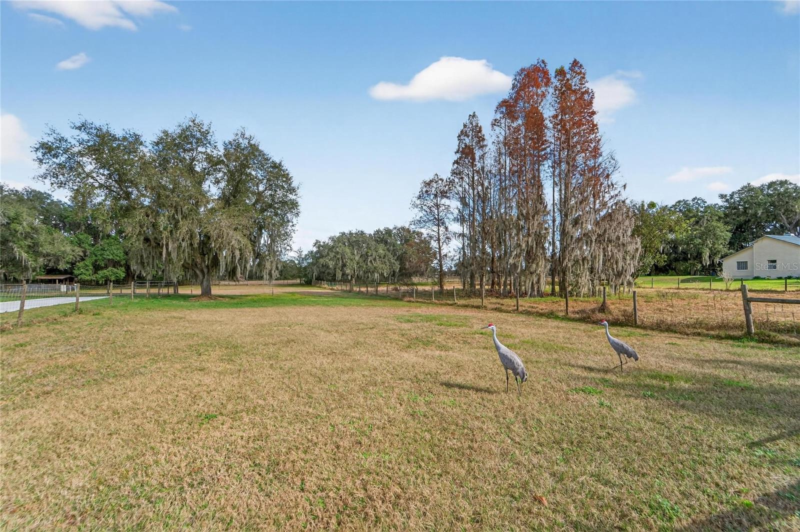 Image 69 of 89 For 725 Giant Oak Road