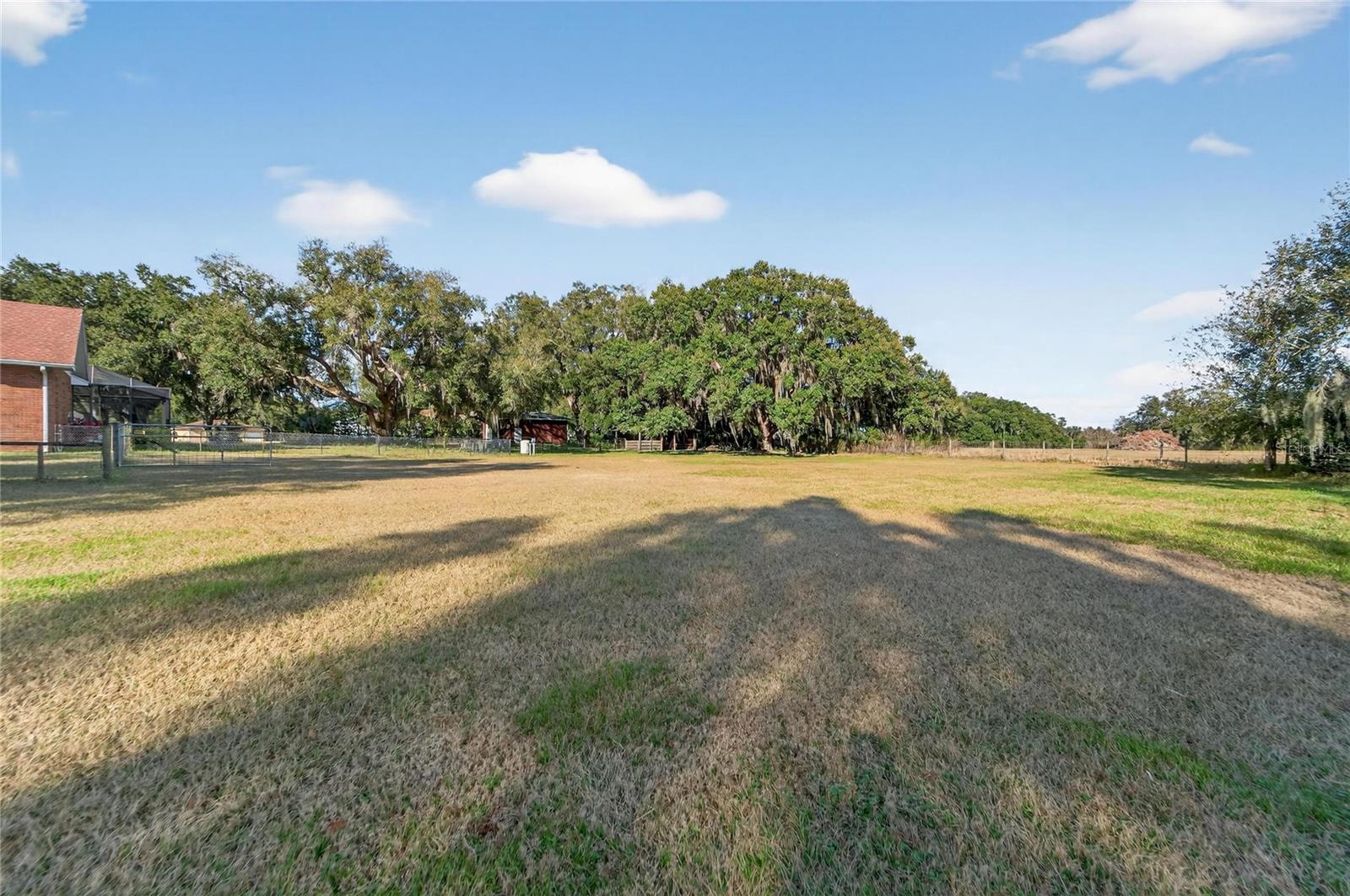 Image 70 of 89 For 725 Giant Oak Road