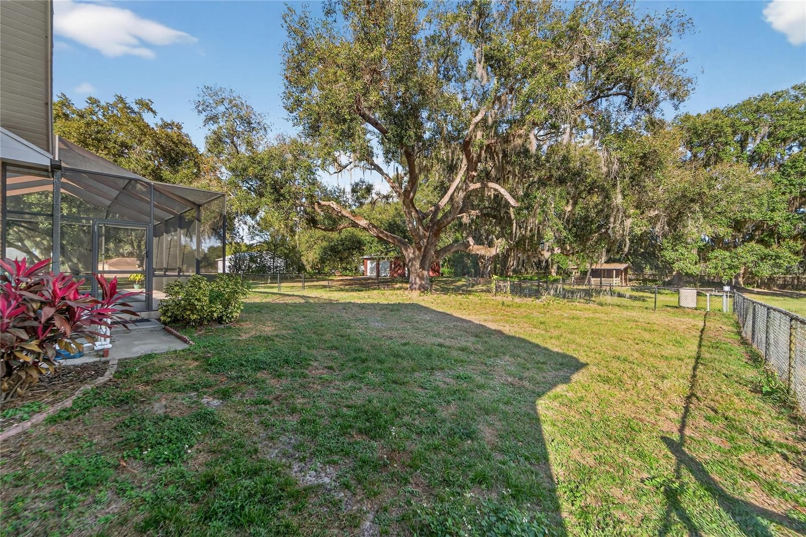 Image 72 of 89 For 725 Giant Oak Road