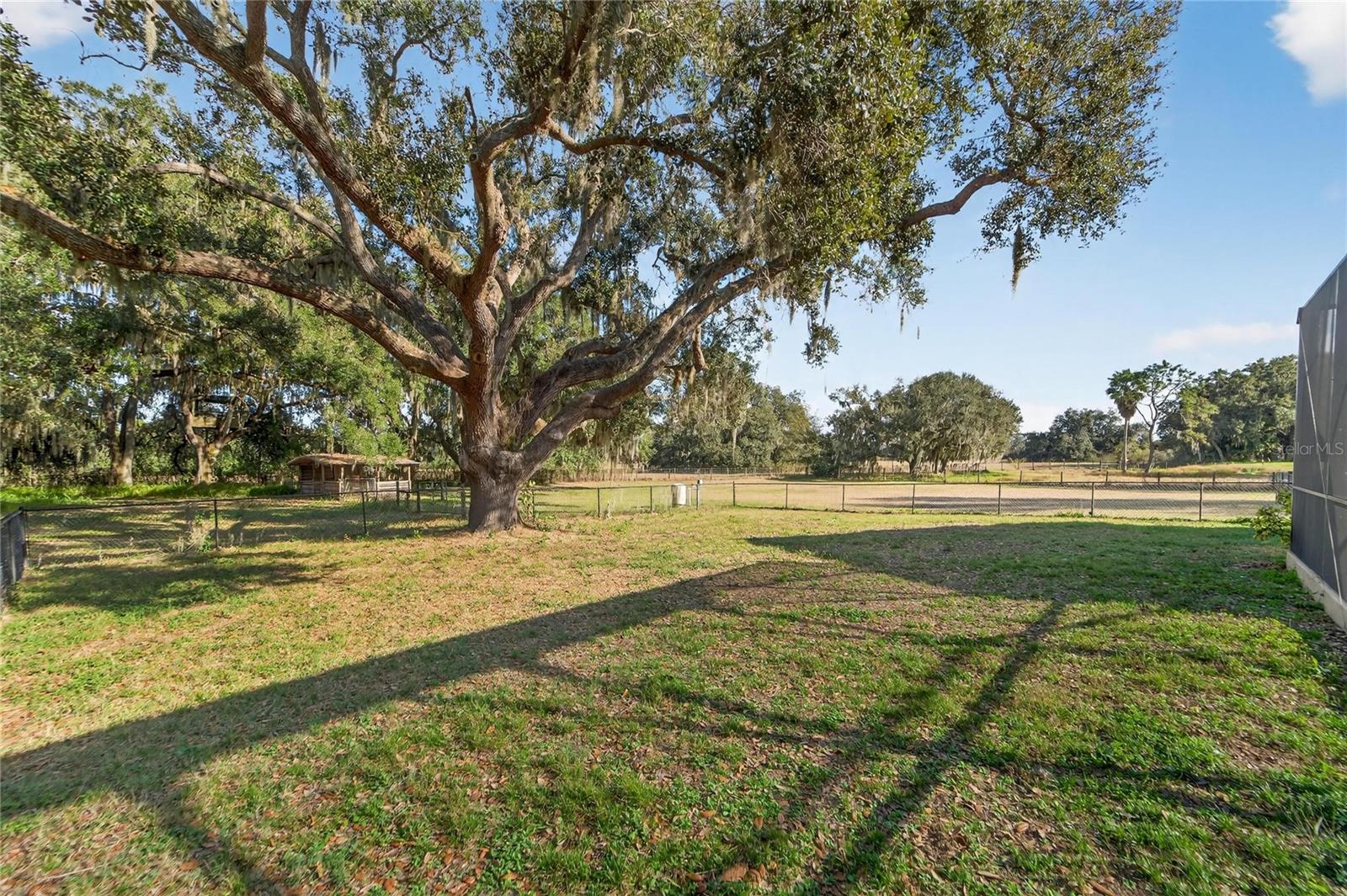 Image 77 of 89 For 725 Giant Oak Road