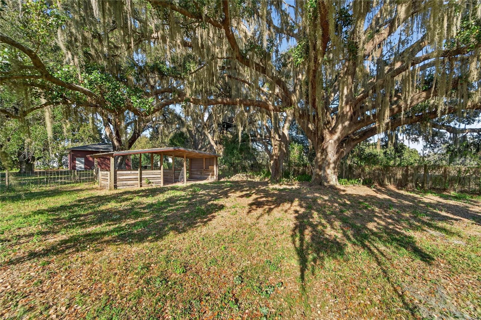 Image 78 of 89 For 725 Giant Oak Road