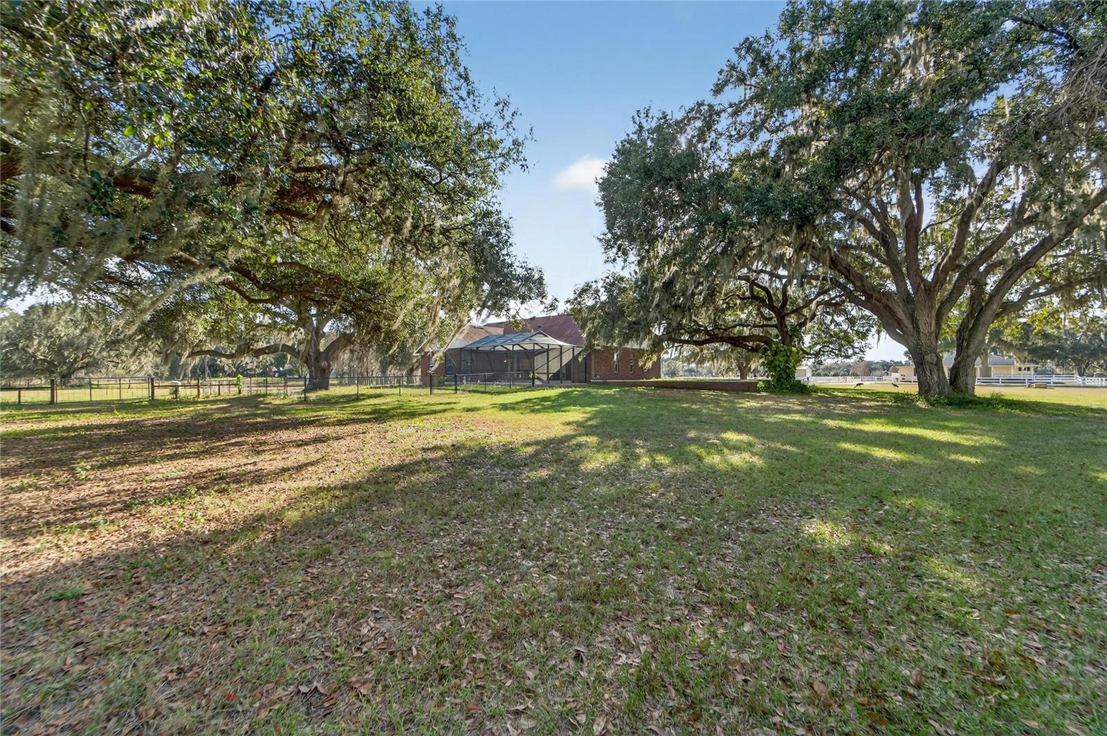 Image 81 of 89 For 725 Giant Oak Road