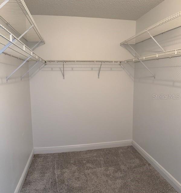 Image 42 of 58 For 730 Mcdaniel Street 100