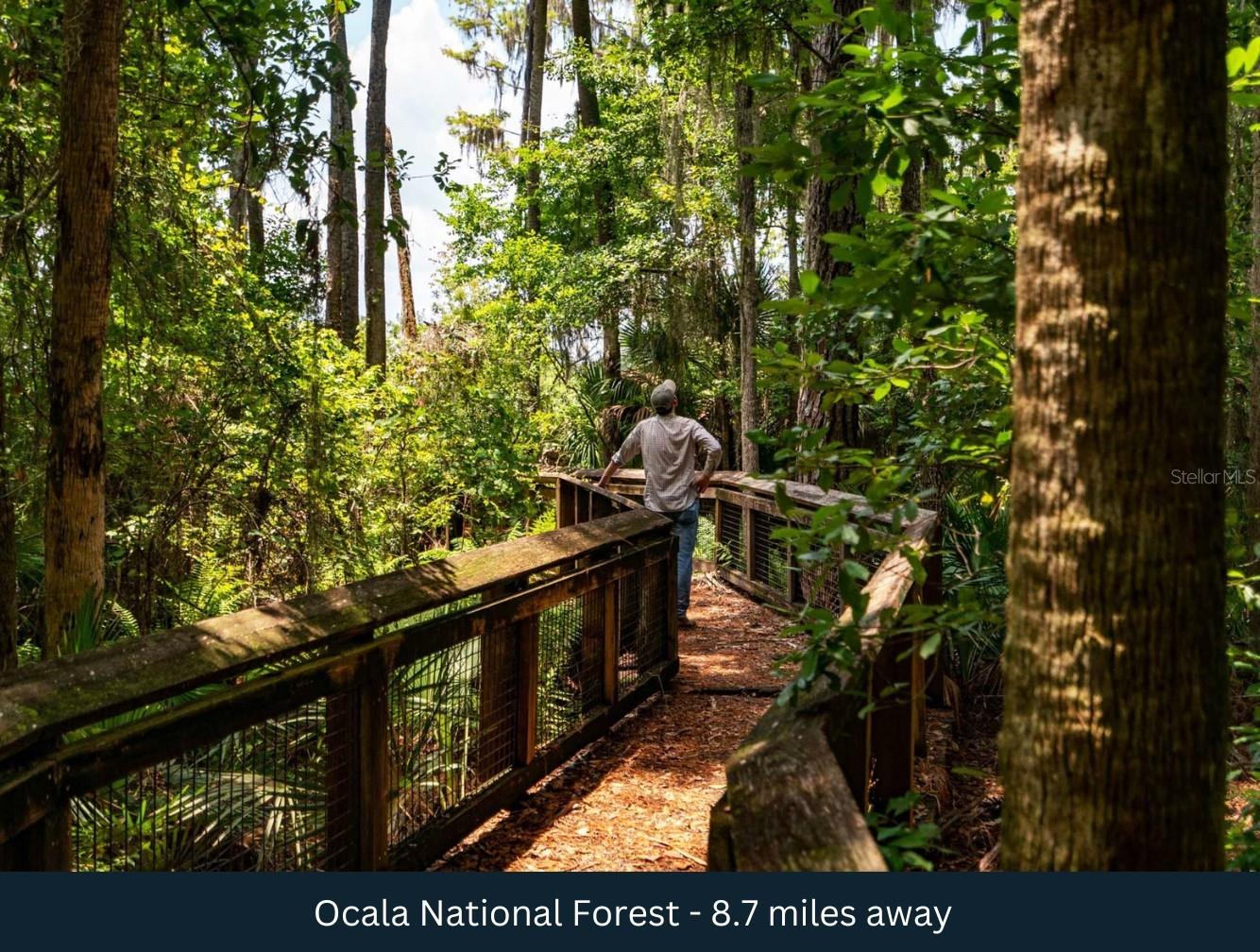 Image 10 of 16 For 165th Terrace