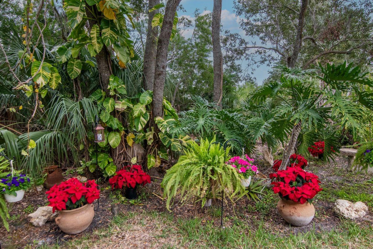 Image 53 of 67 For 7711 Gulf Way