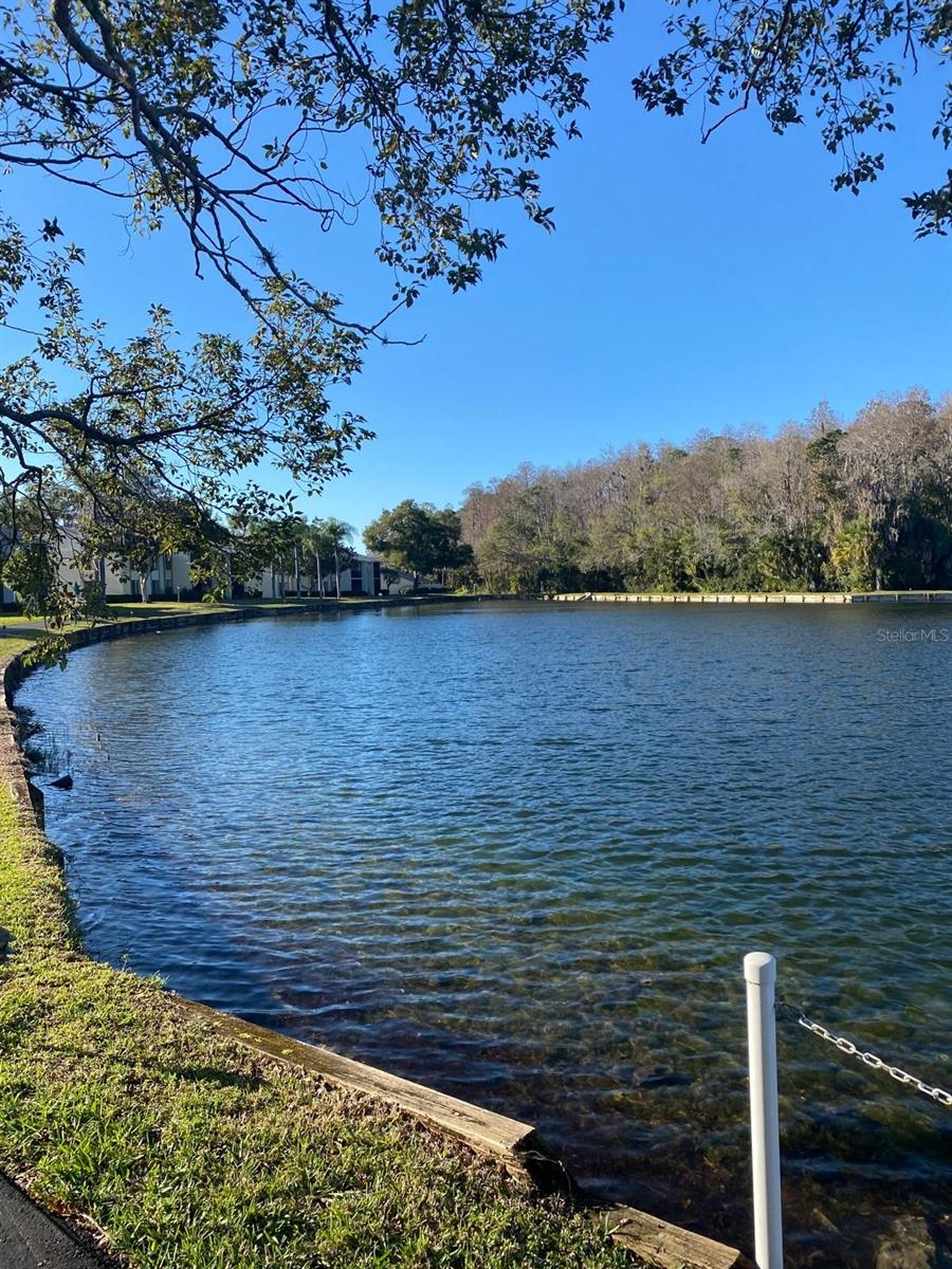 Listing photo id 2 for 1333 Shady Pine Way D