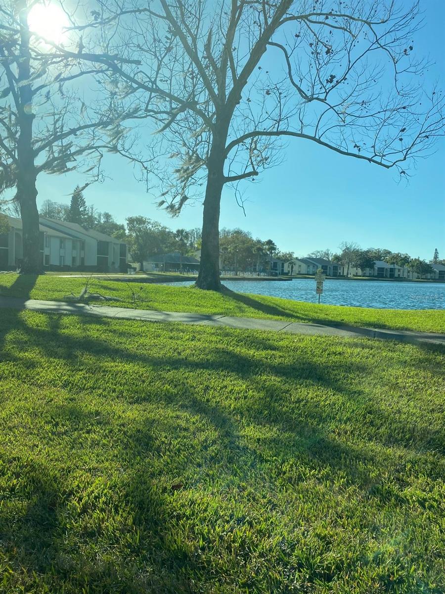 Listing photo id 54 for 1333 Shady Pine Way D