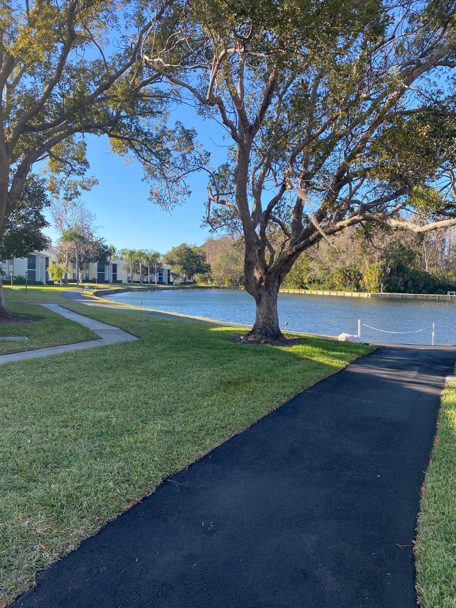 Listing photo id 55 for 1333 Shady Pine Way D