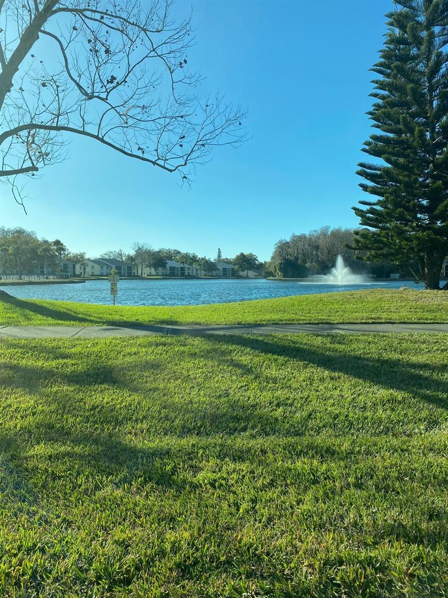 Listing photo id 57 for 1333 Shady Pine Way D