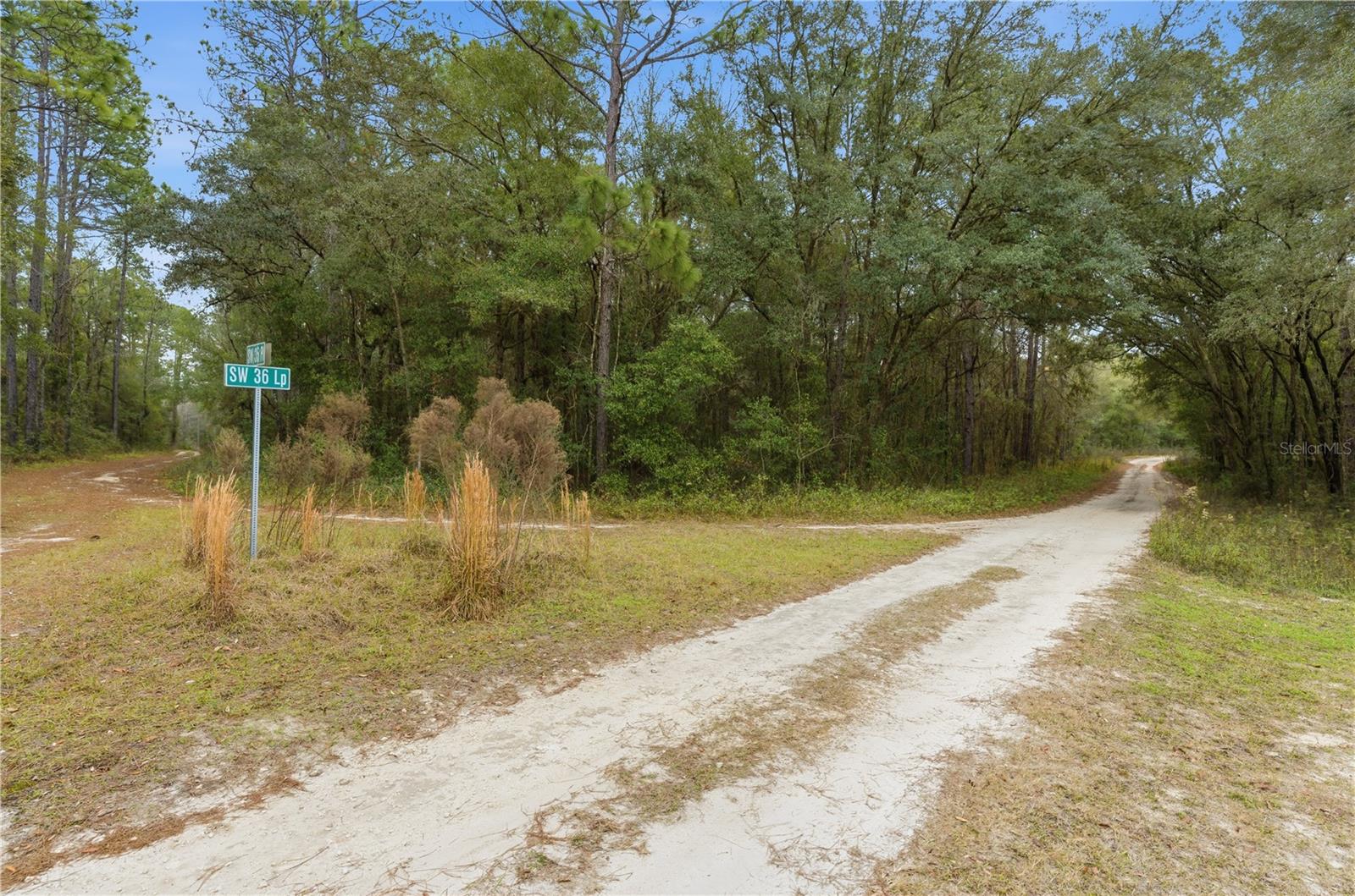 Image 10 of 18 For  36th Loop 