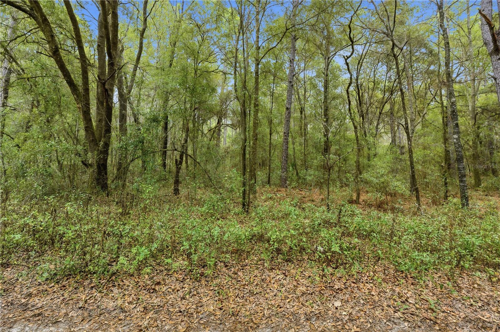 Image 11 of 18 For  36th Loop 