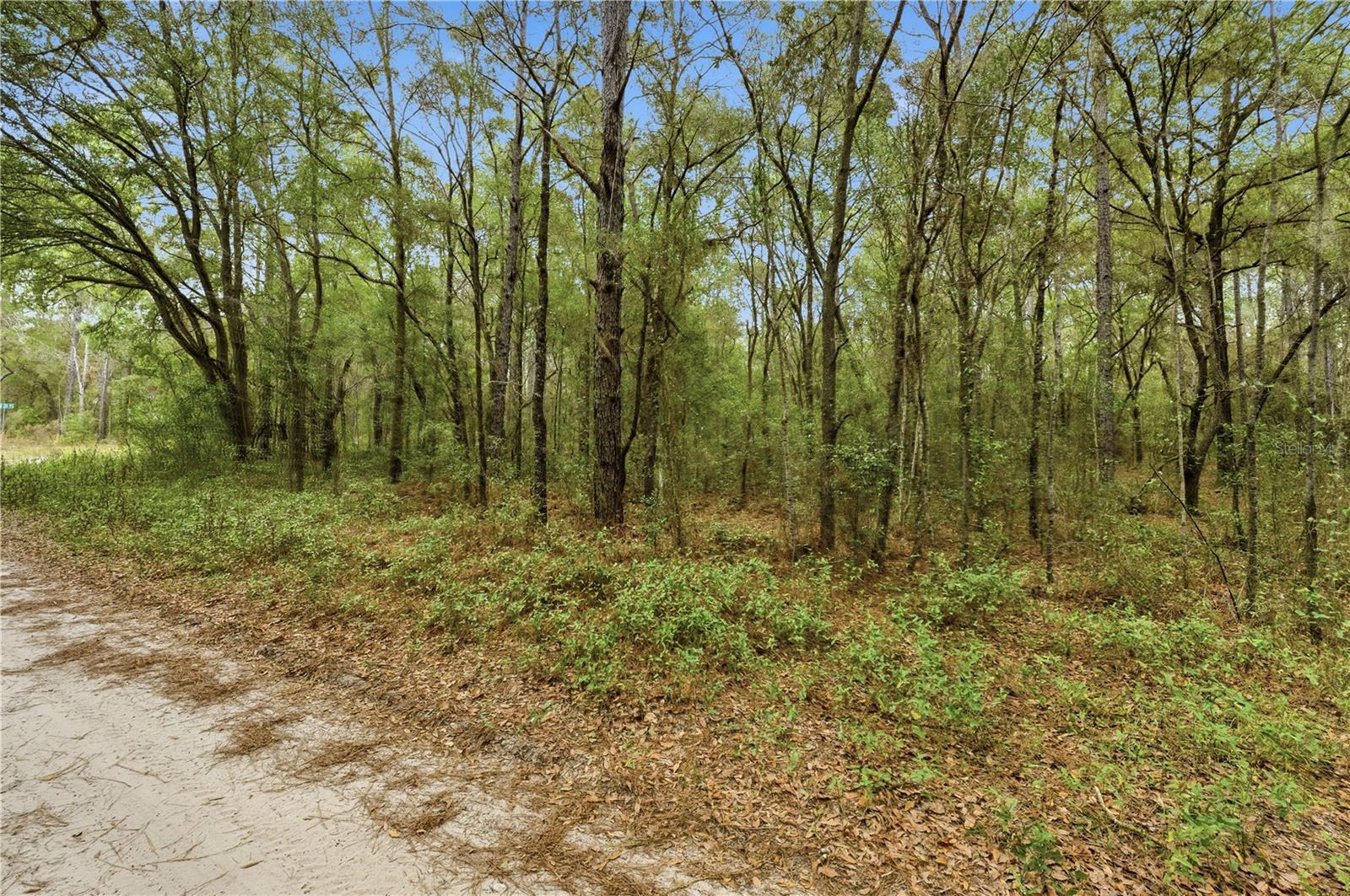 Image 12 of 18 For  36th Loop 