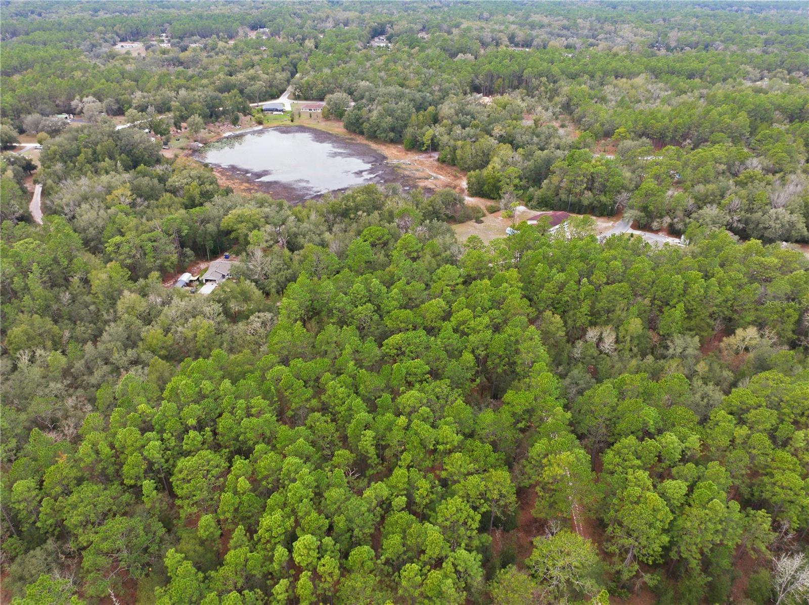 Image 17 of 18 For  36th Loop 