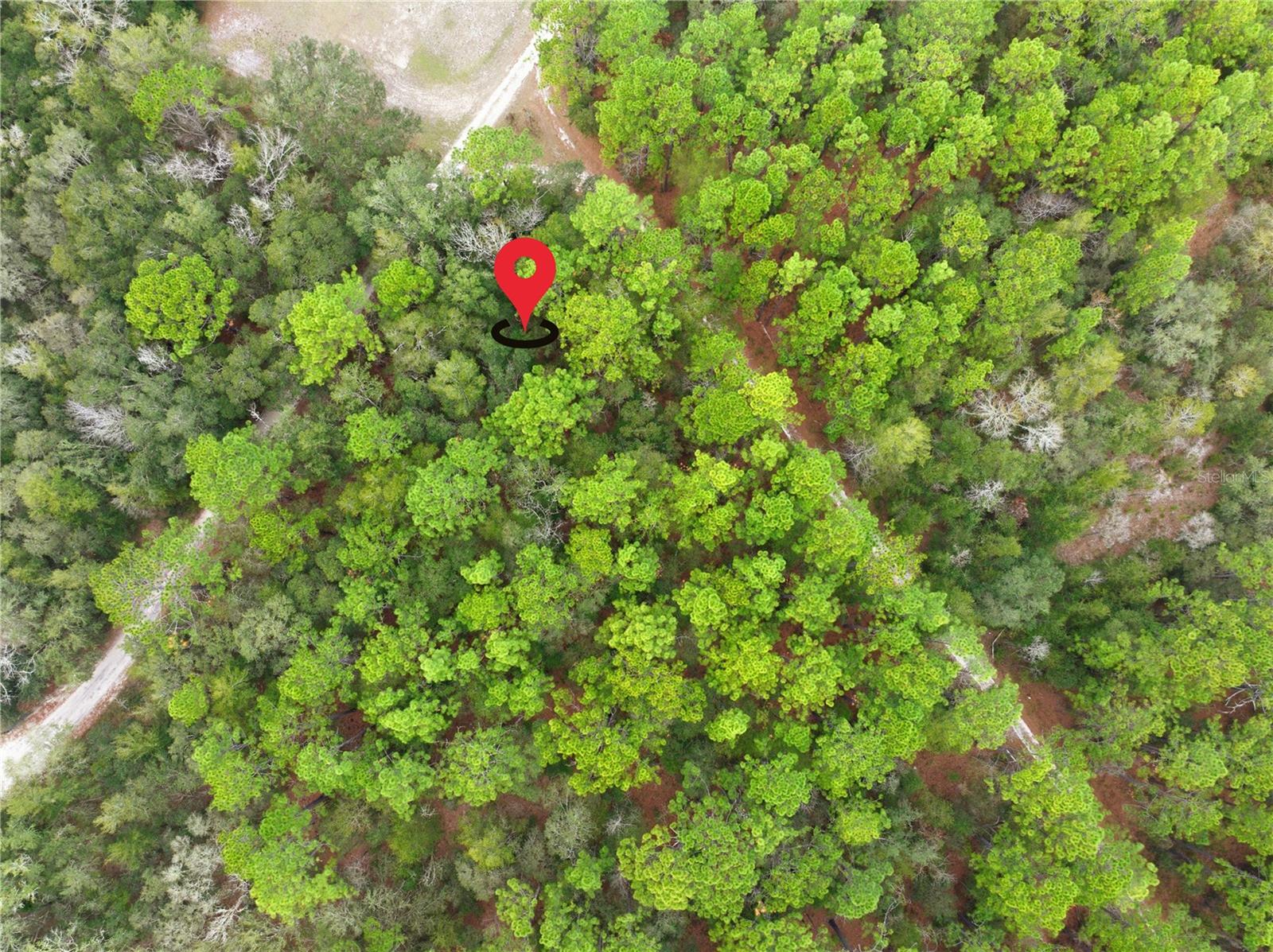 Image 4 of 18 For  36th Loop 