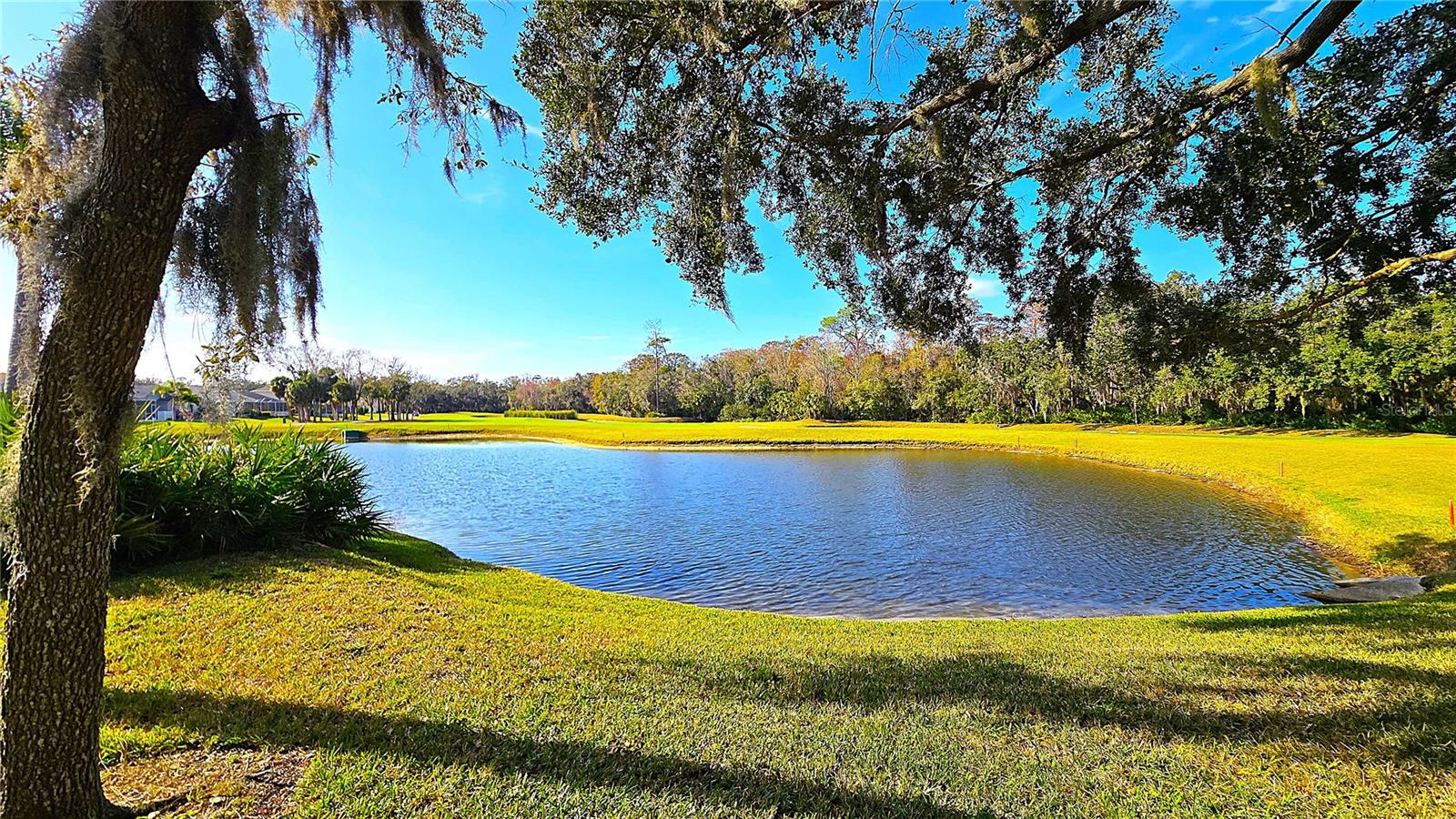 Image 42 of 42 For 6521 Pine Walk Drive