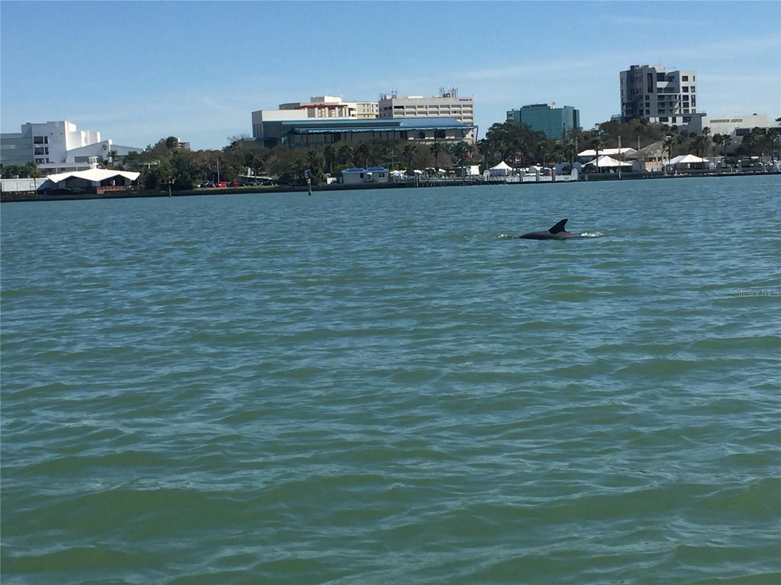 Image 28 of 29 For 1216 Missouri Avenue 120