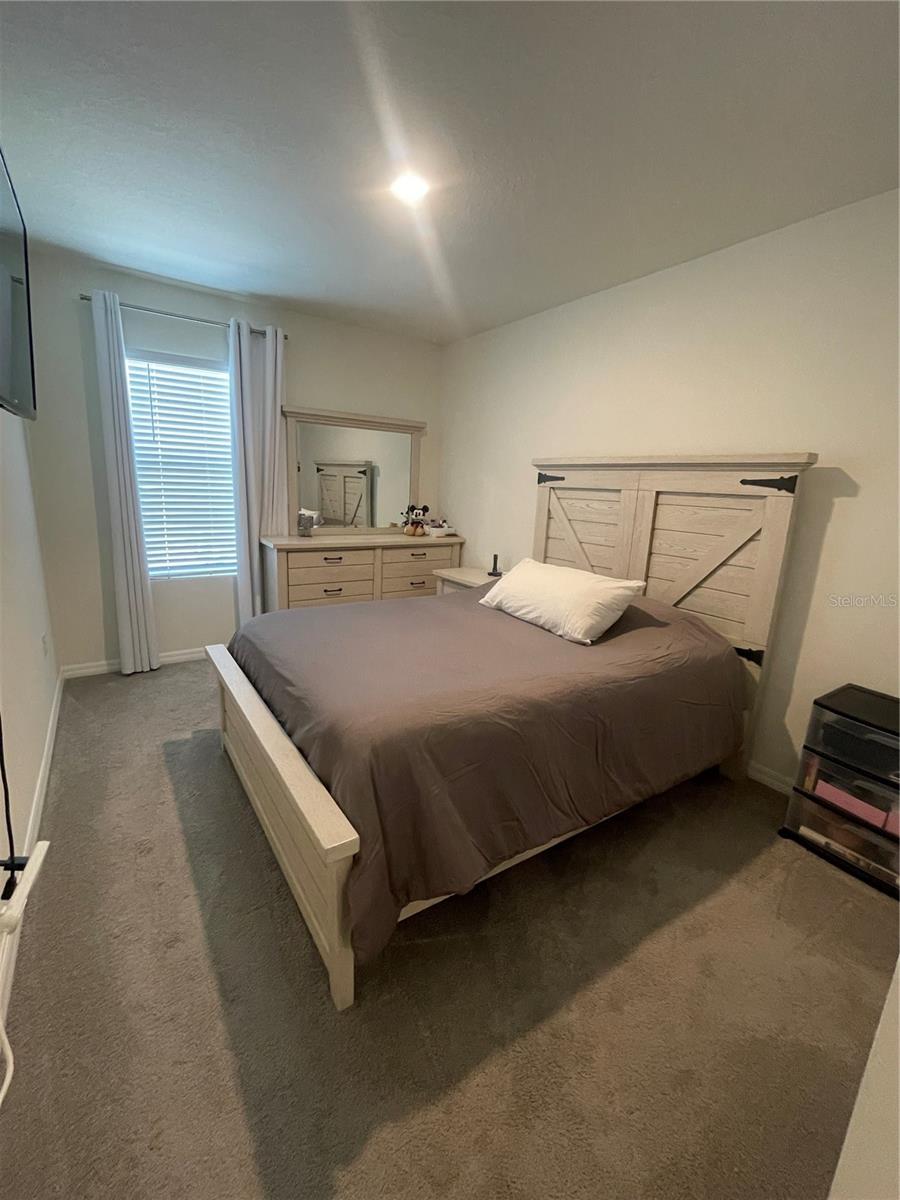 Image 12 of 22 For 33762 Jasmine Star Loop