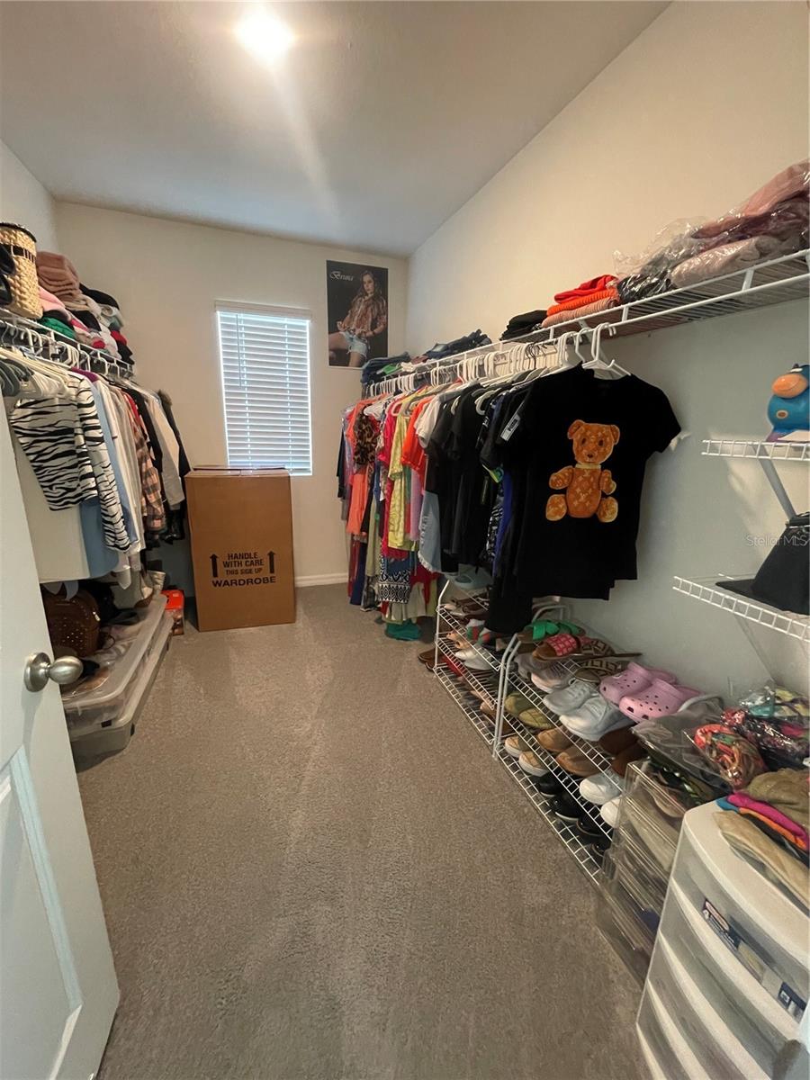 Image 18 of 22 For 33762 Jasmine Star Loop