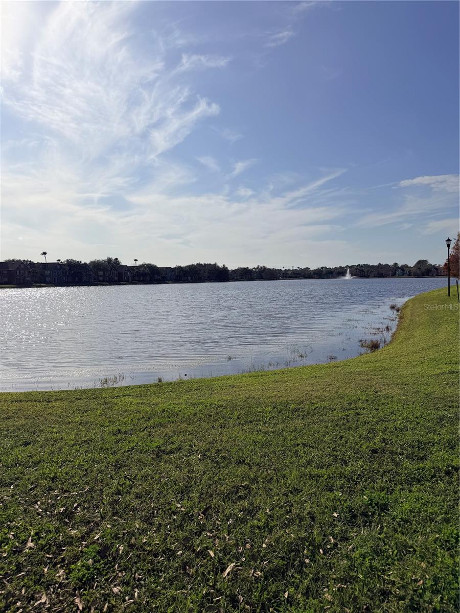 Image 24 of 26 For 9818 Lake Chase Island Way 9818