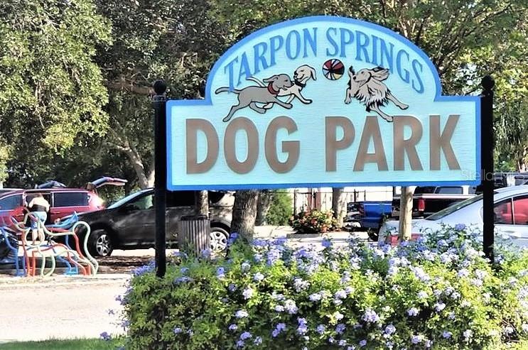 Image 42 of 55 For 103 Park Street