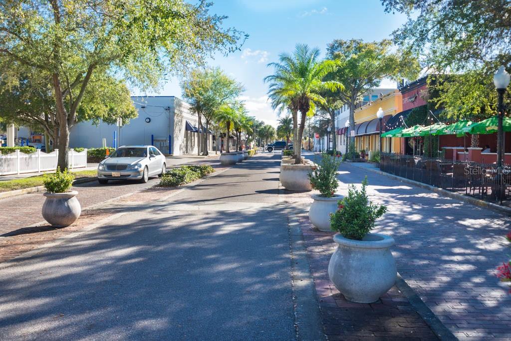 Image 46 of 55 For 103 Park Street