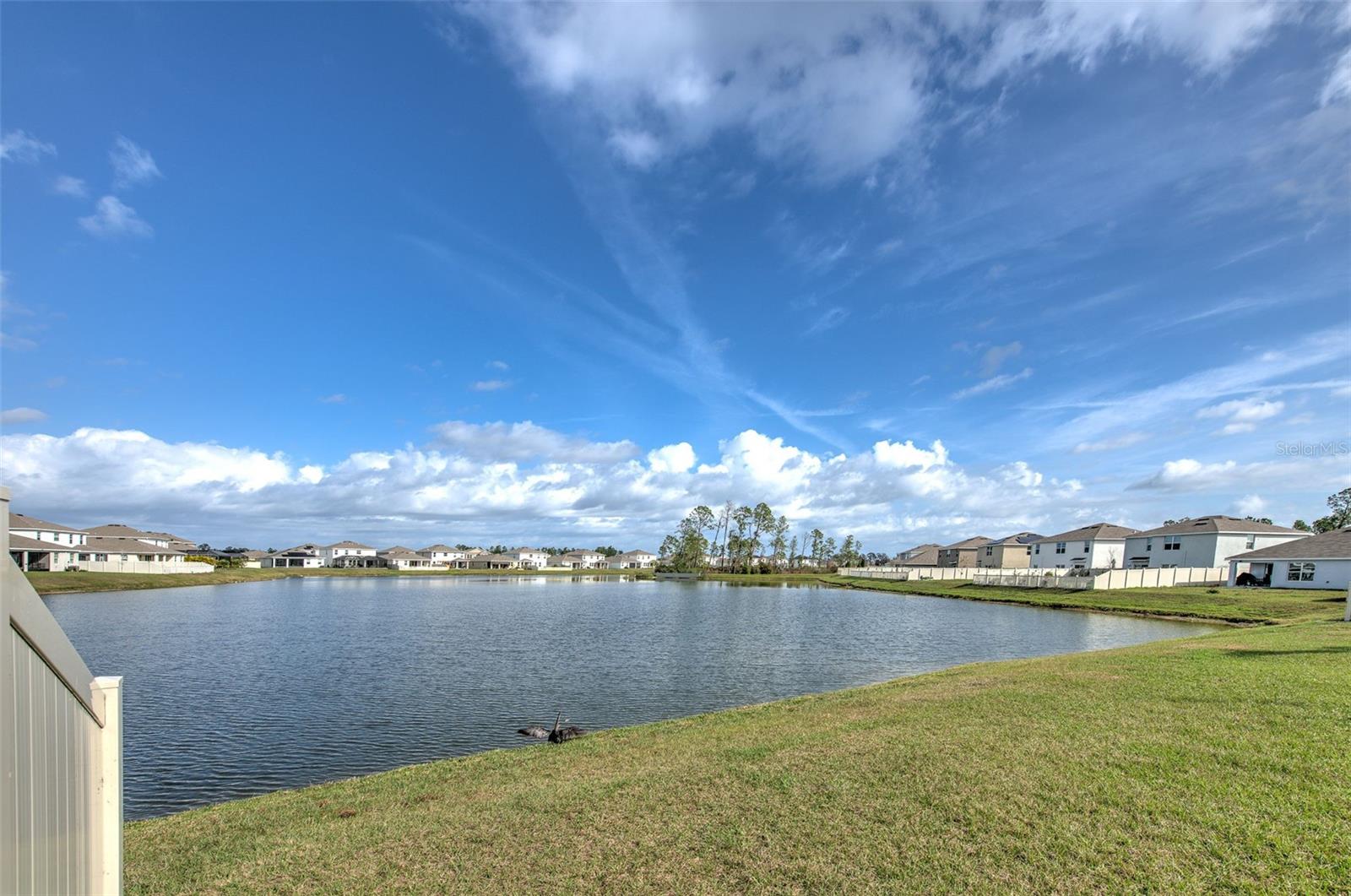 Image 44 of 52 For 3710 Capri Coast Drive