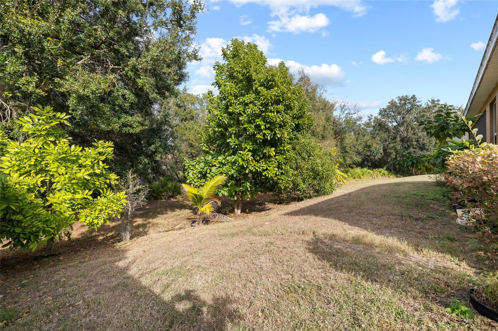 Image 39 of 49 For 10925 Rockledge View Drive