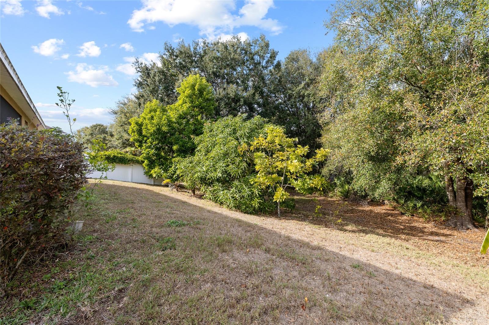 Image 40 of 49 For 10925 Rockledge View Drive