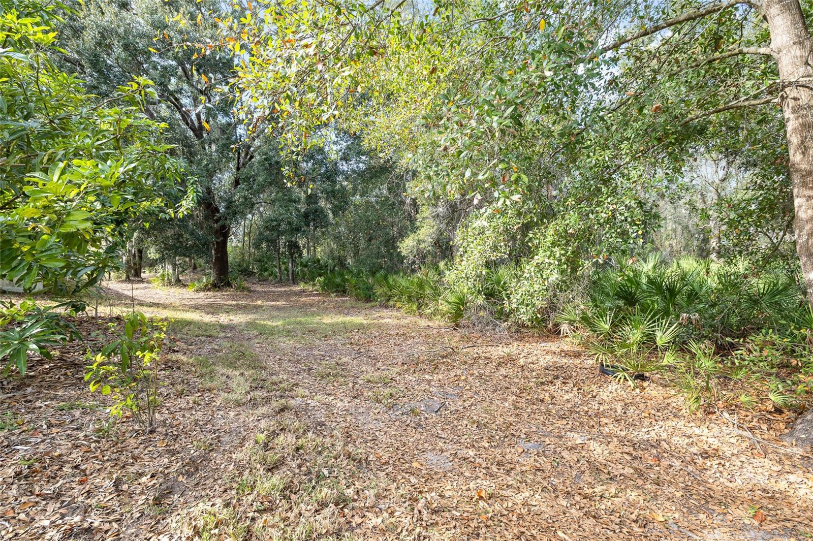 Image 43 of 49 For 10925 Rockledge View Drive