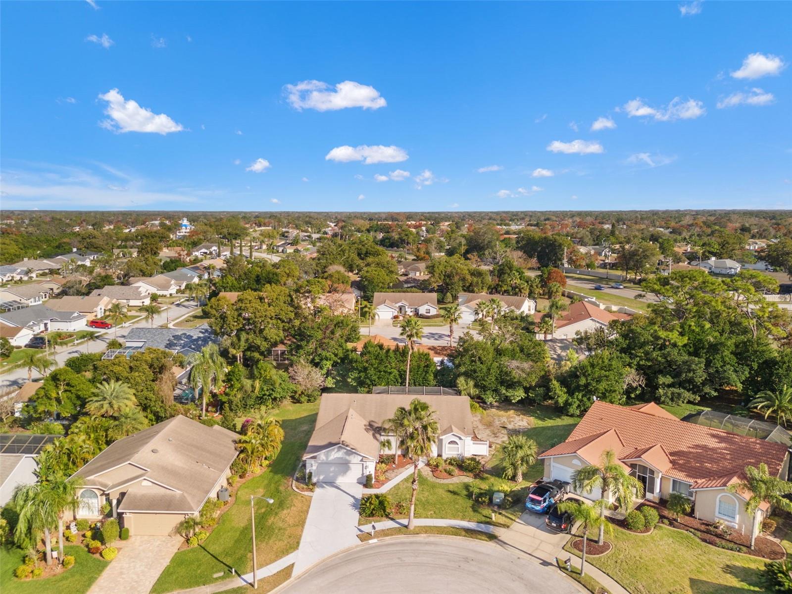 Image 25 of 34 For 13732 Triumph Court