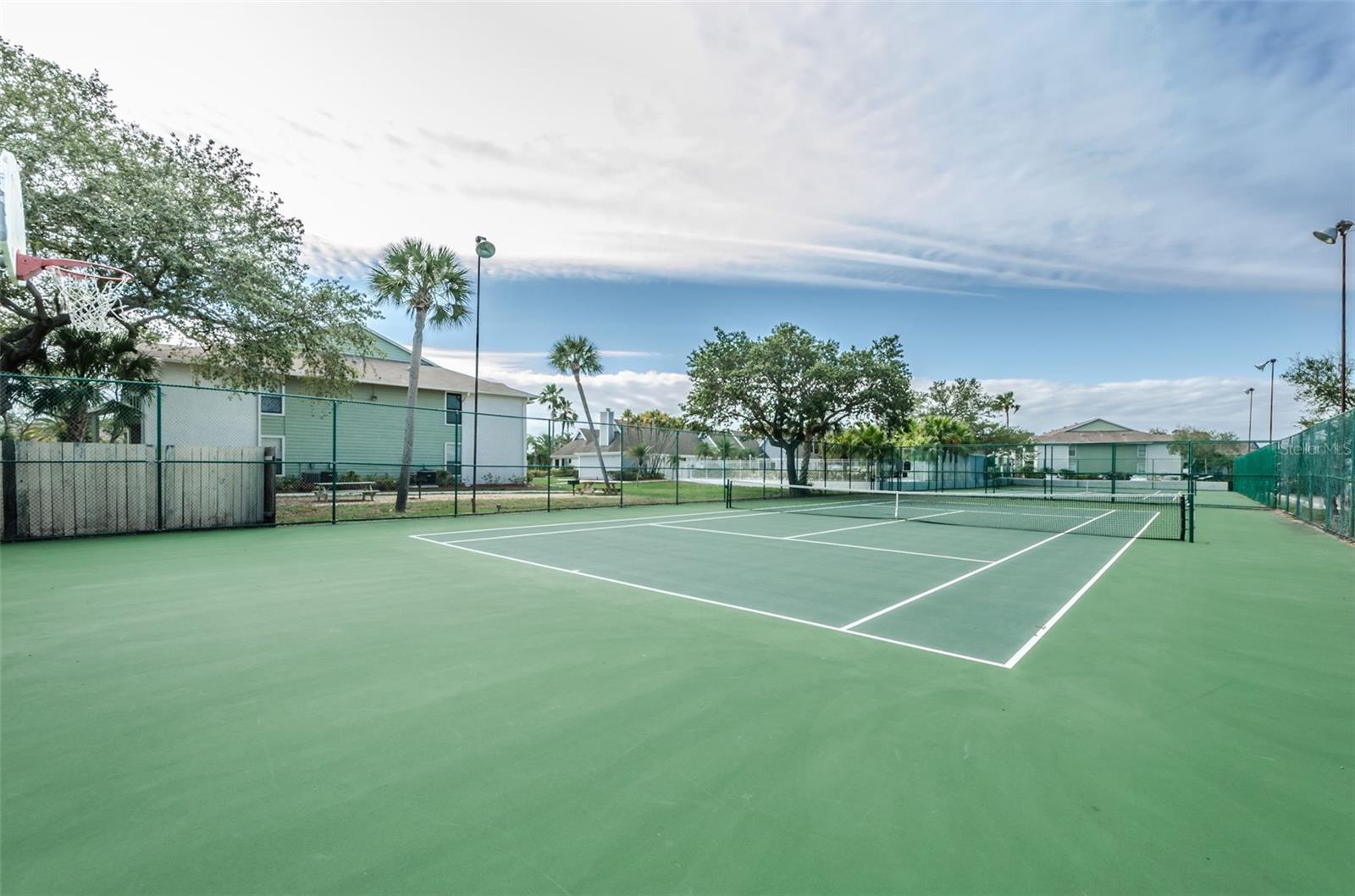 Image 52 of 58 For 455 Palm Harbor Boulevard S 164