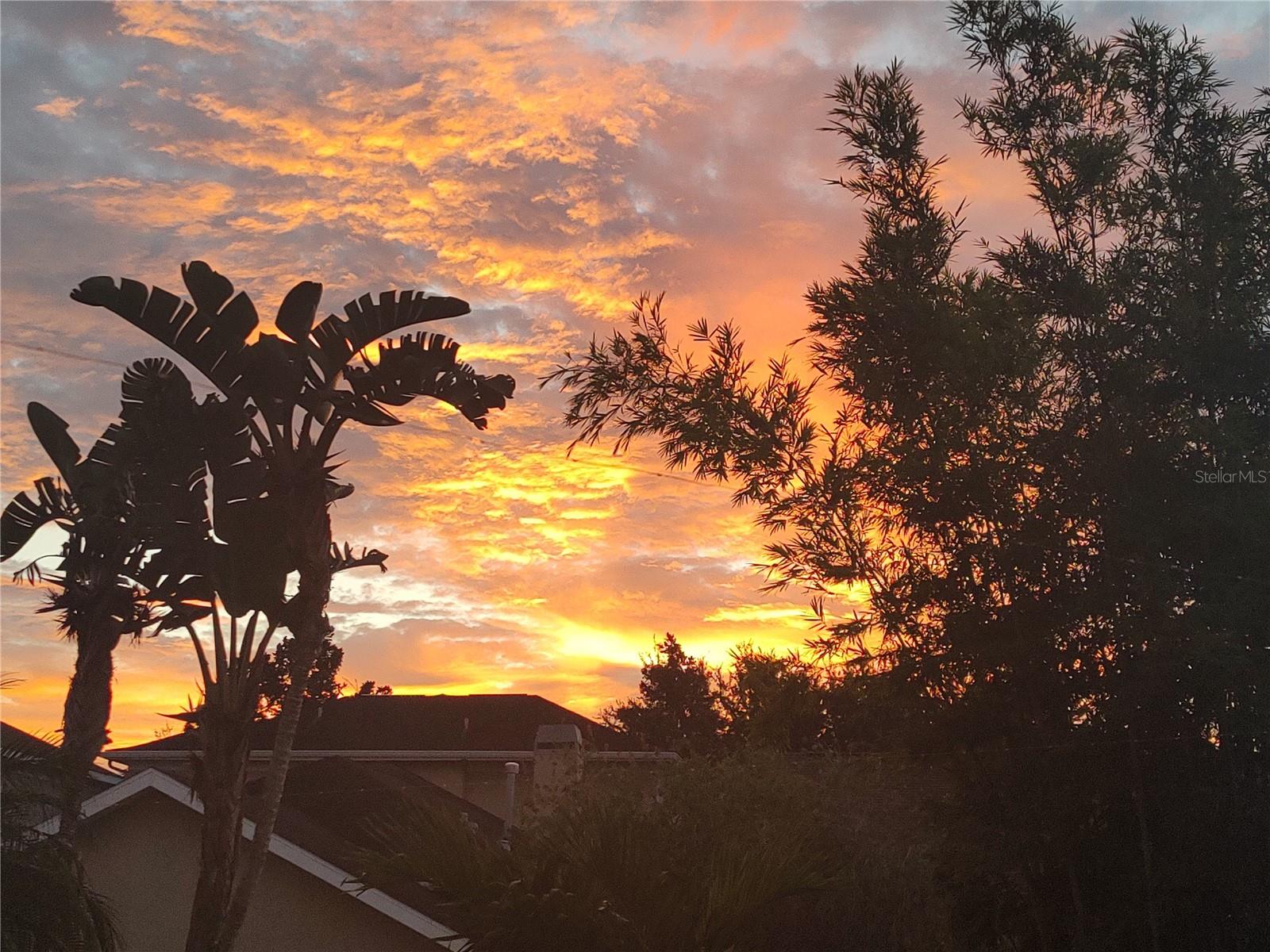 Image 46 of 62 For 3618 Buffett Street