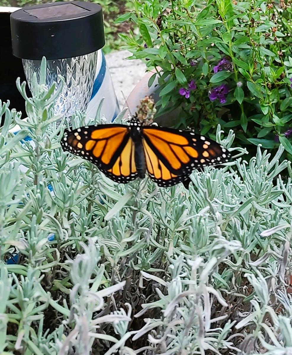 Image 47 of 62 For 3618 Buffett Street