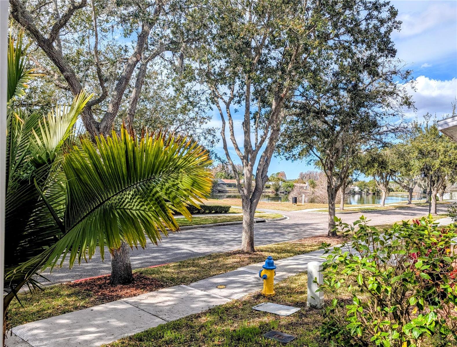 Image 5 of 62 For 3618 Buffett Street