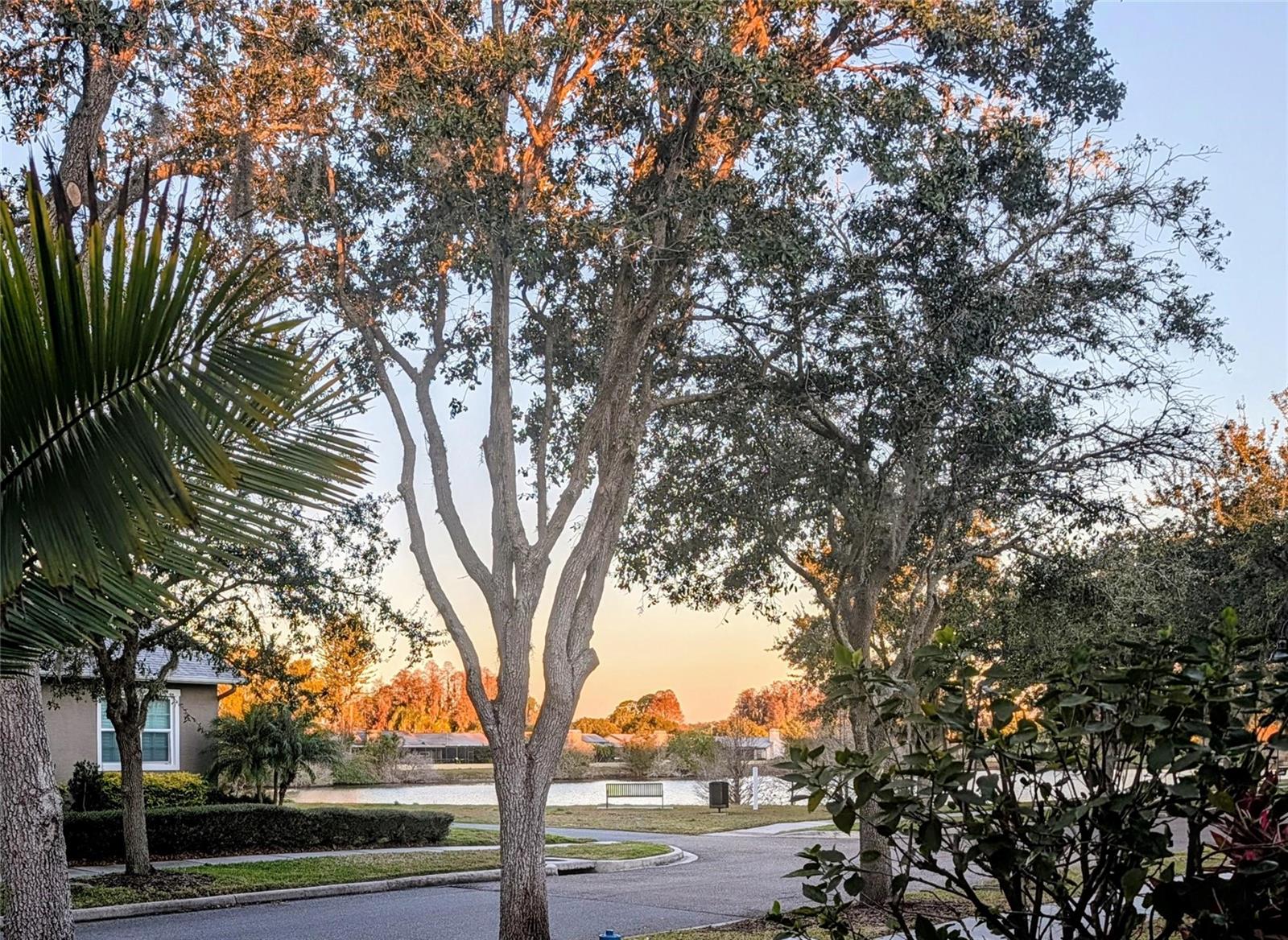 Image 6 of 62 For 3618 Buffett Street