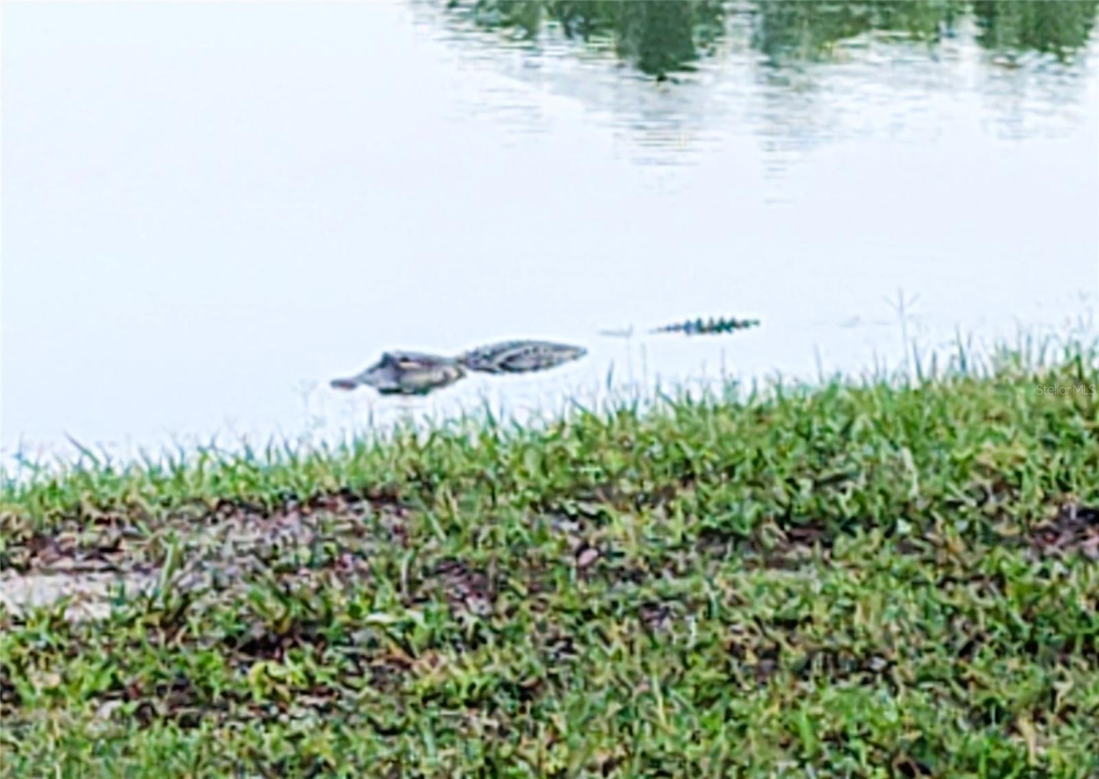 Image 60 of 62 For 3618 Buffett Street