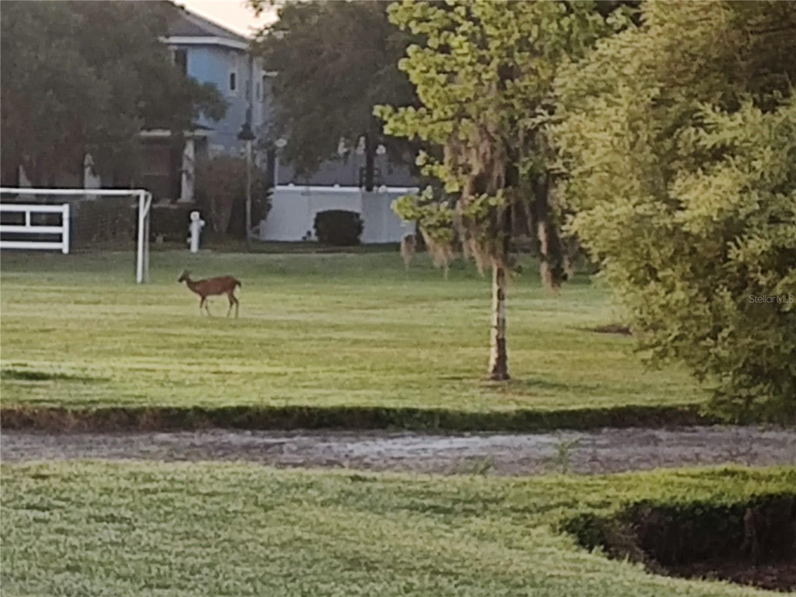 Image 61 of 62 For 3618 Buffett Street