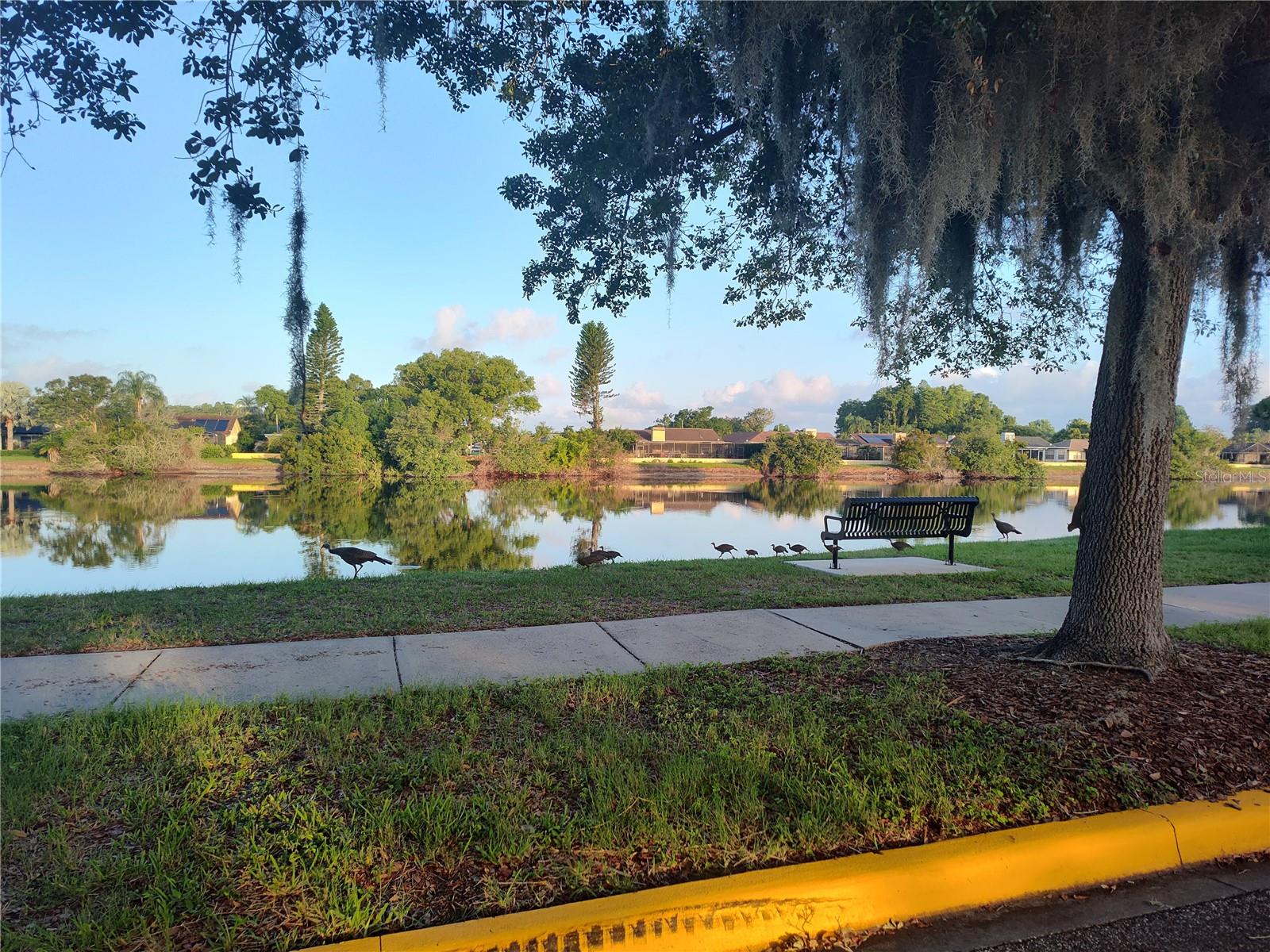 Image 62 of 62 For 3618 Buffett Street