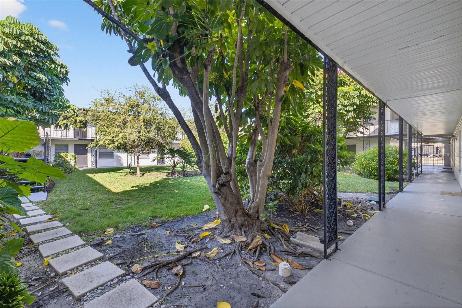 Image 26 of 27 For 2808 Azeele Street 205