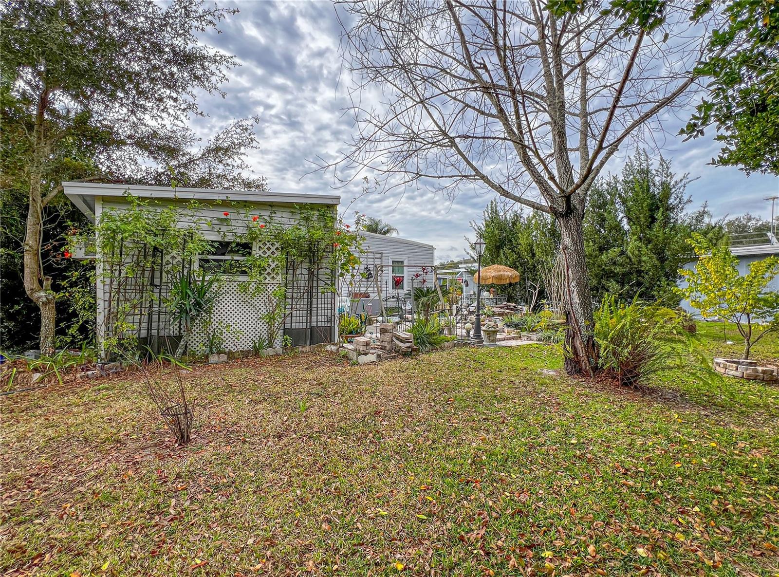 Image 37 of 41 For 34543 Rosebud Row