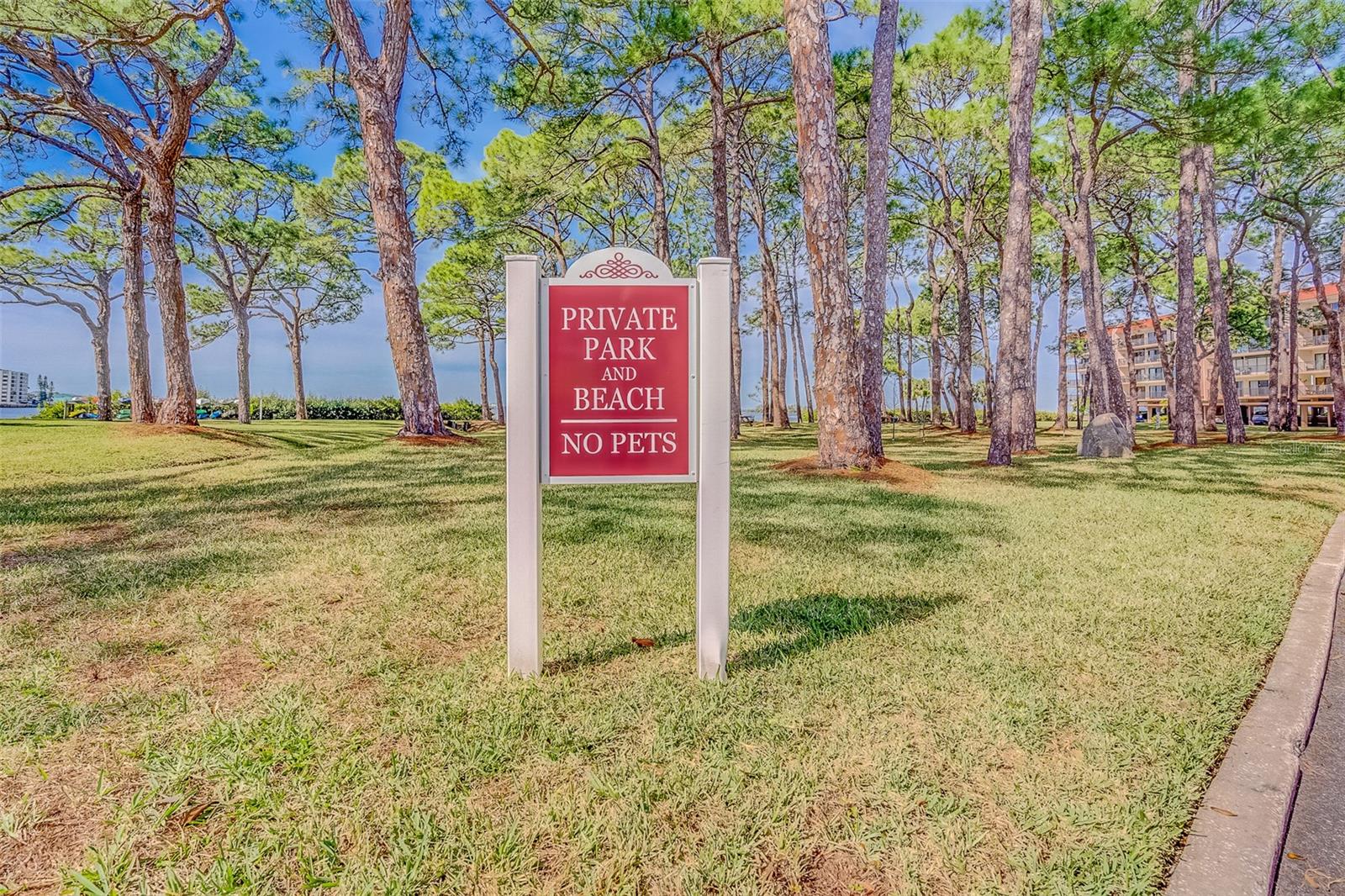 Image 29 of 45 For 2700 Bayshore Boulevard 4109