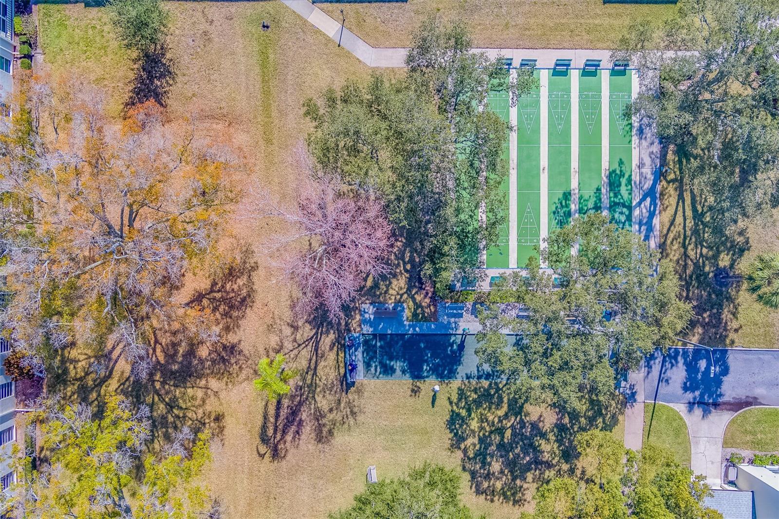 Image 33 of 45 For 2700 Bayshore Boulevard 4109