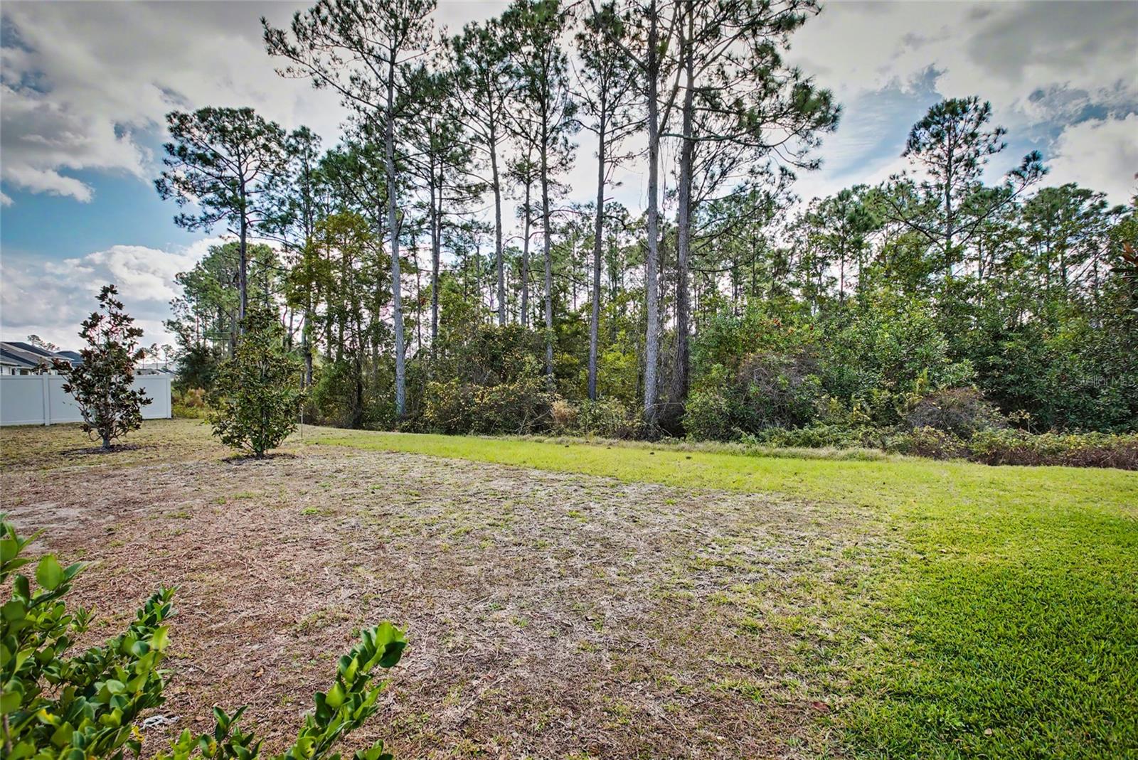 Image 5 of 32 For 37 Willow Street