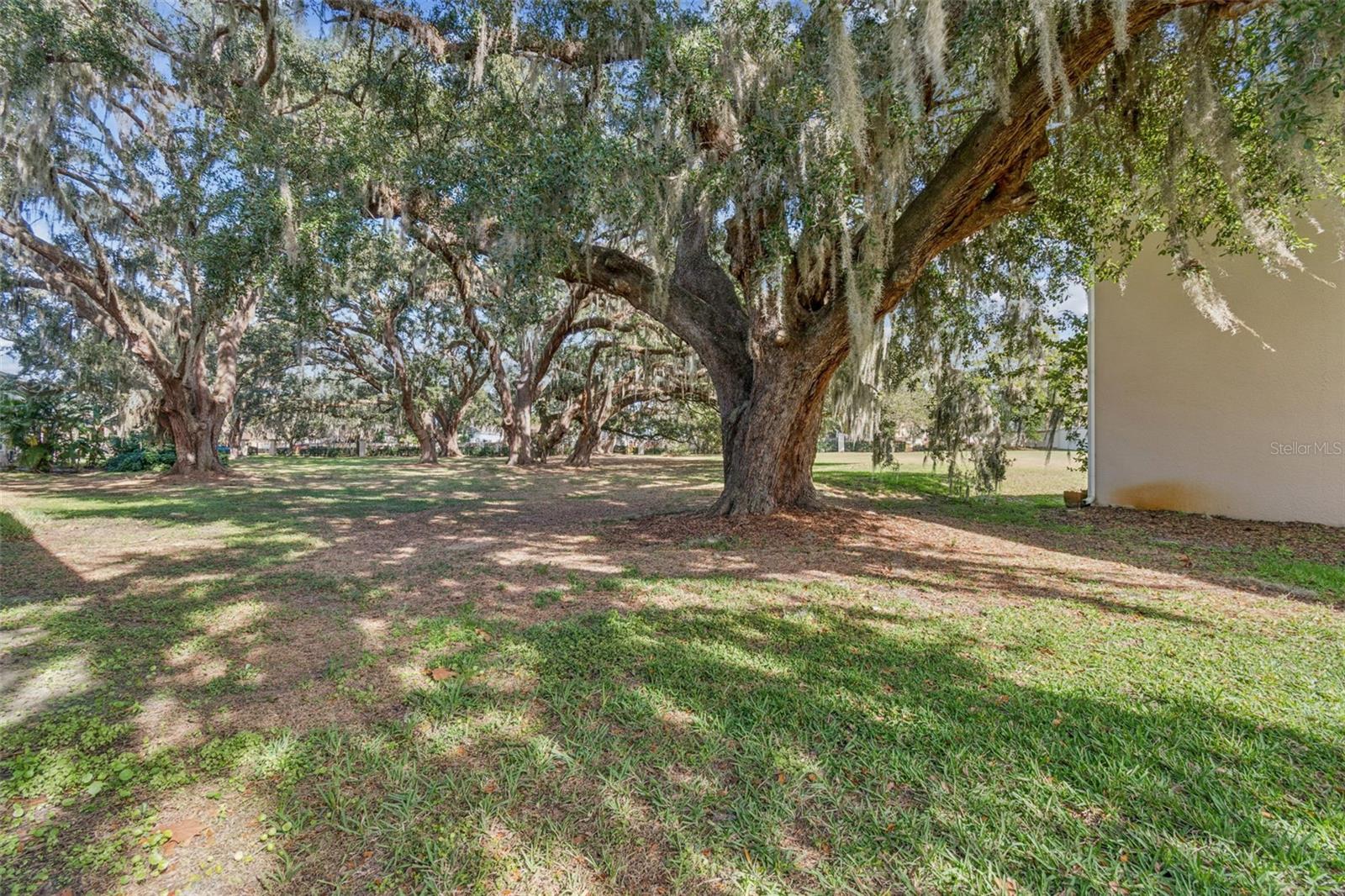 Image 64 of 94 For 1120 Hillhurst Drive