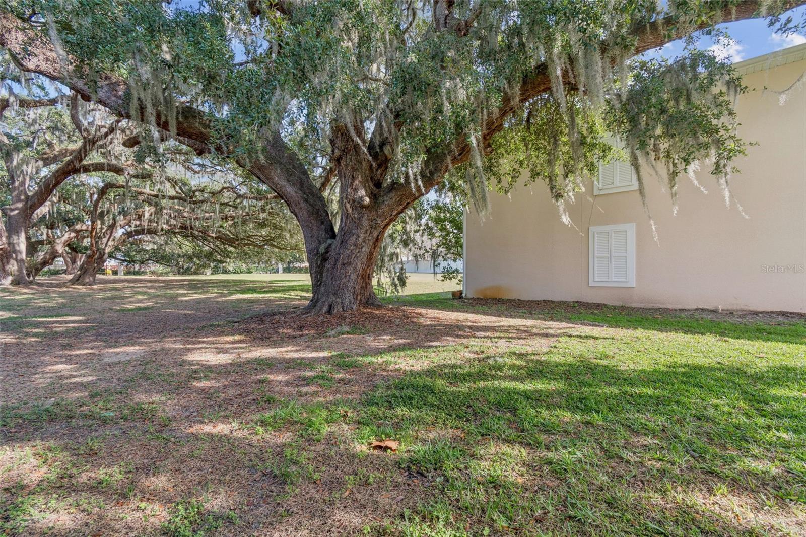 Image 65 of 94 For 1120 Hillhurst Drive